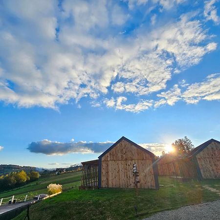 Chata W Bieszczadzie Apartamenty I Domki Z Sauna Bieszczady Polanczyk Ngoại thất bức ảnh