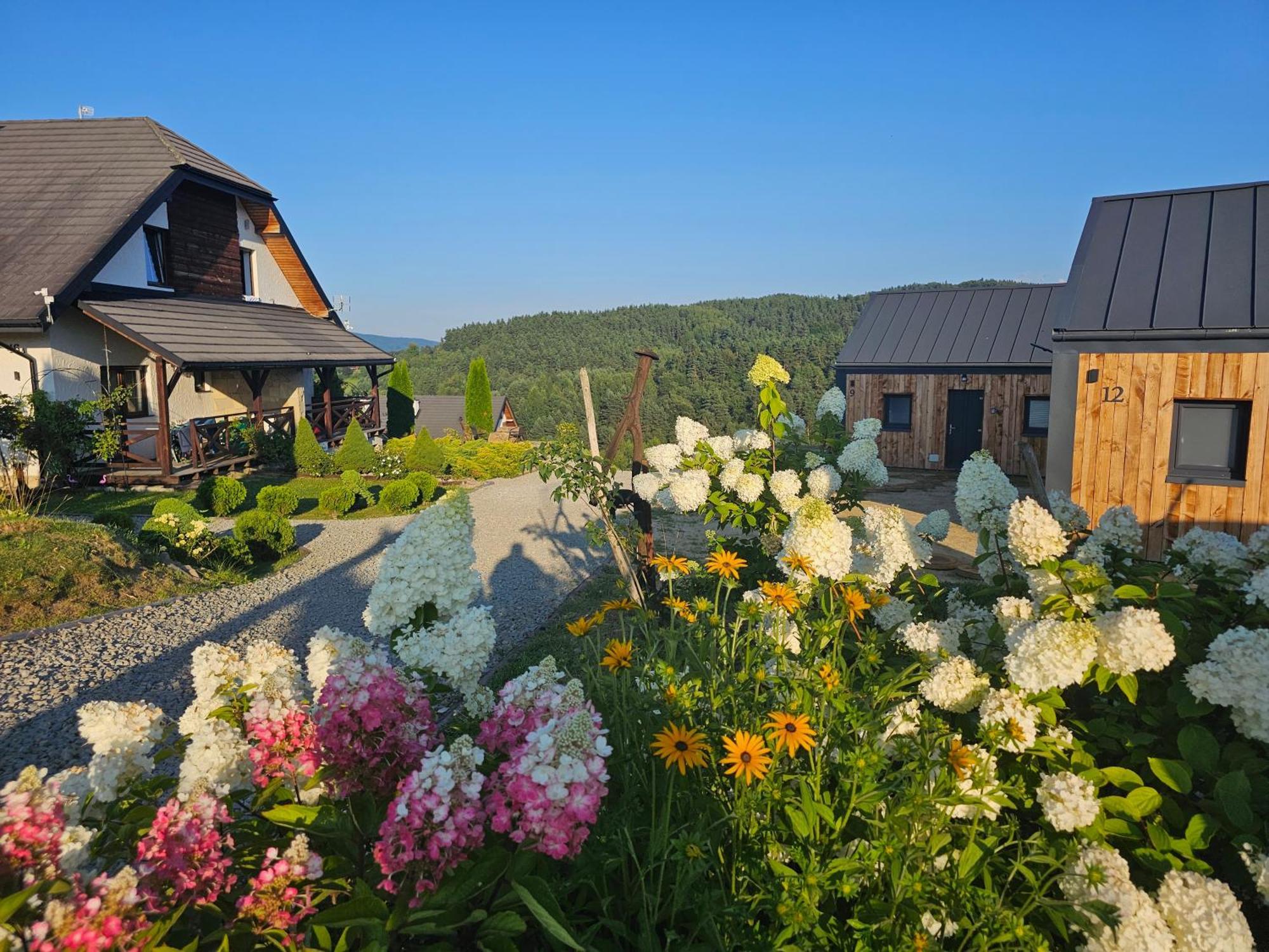 Chata W Bieszczadzie Apartamenty I Domki Z Sauna Bieszczady Polanczyk Ngoại thất bức ảnh