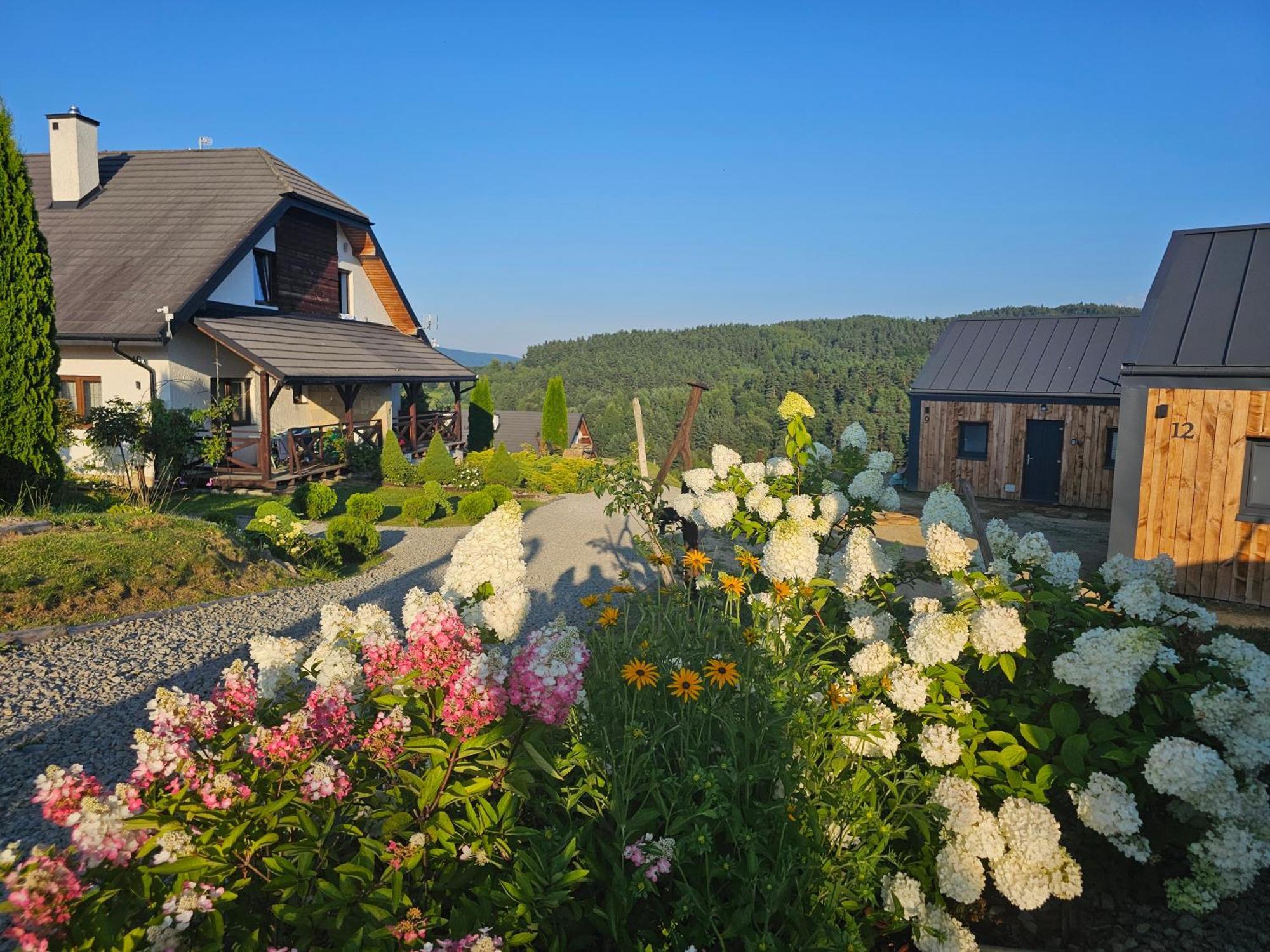 Chata W Bieszczadzie Apartamenty I Domki Z Sauna Bieszczady Polanczyk Ngoại thất bức ảnh