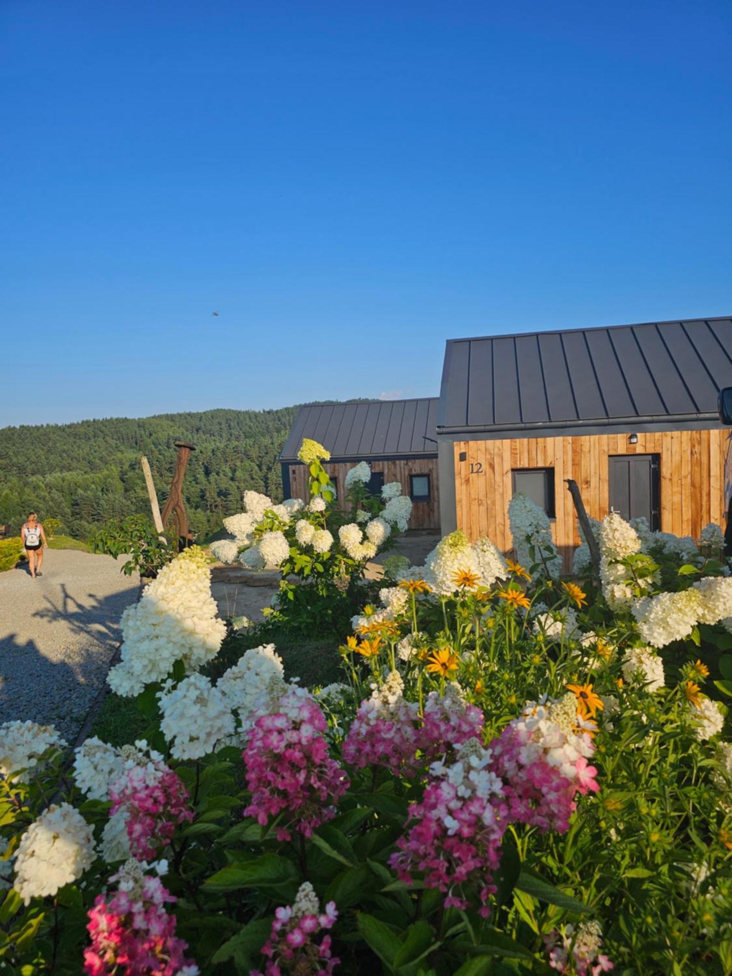 Chata W Bieszczadzie Apartamenty I Domki Z Sauna Bieszczady Polanczyk Ngoại thất bức ảnh